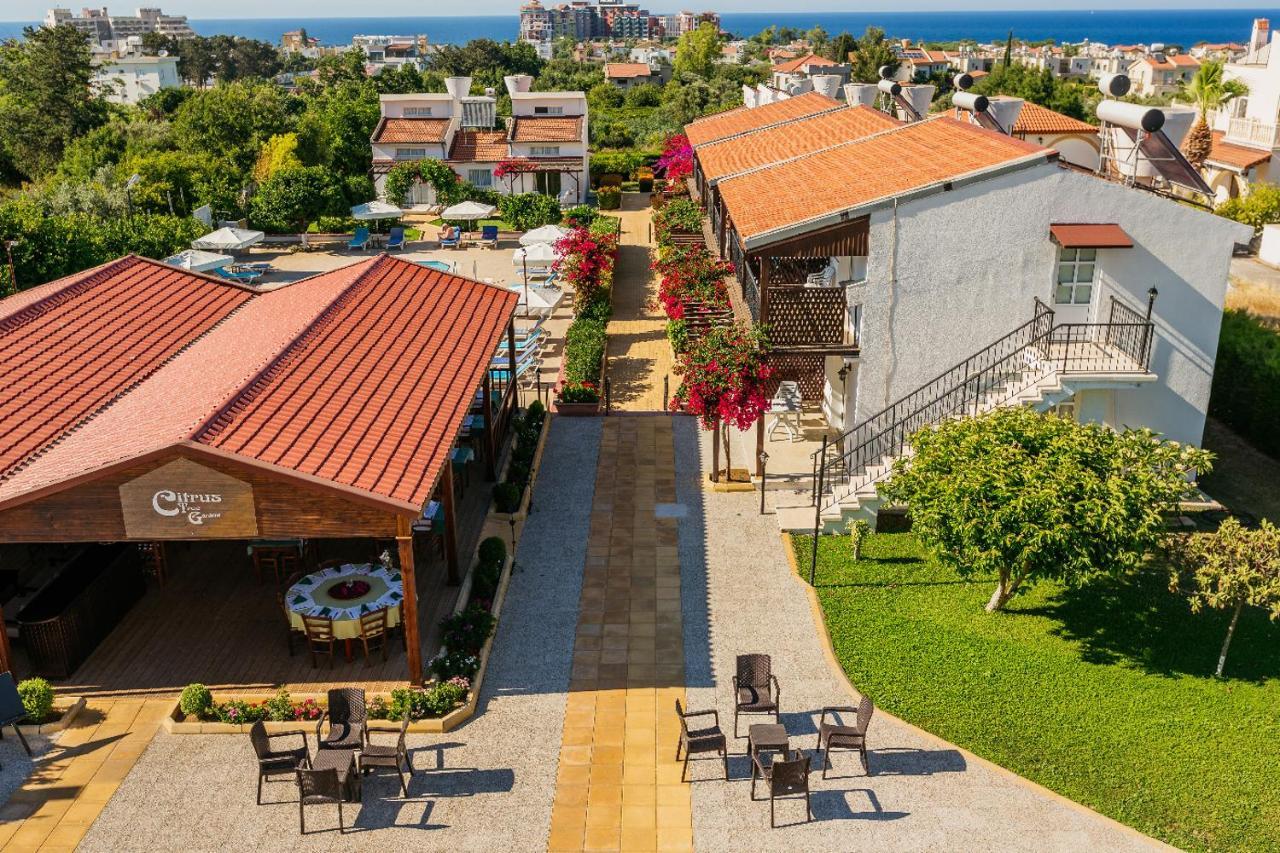 Hotel Citrus Tree Gardens Karavas  Exteriér fotografie