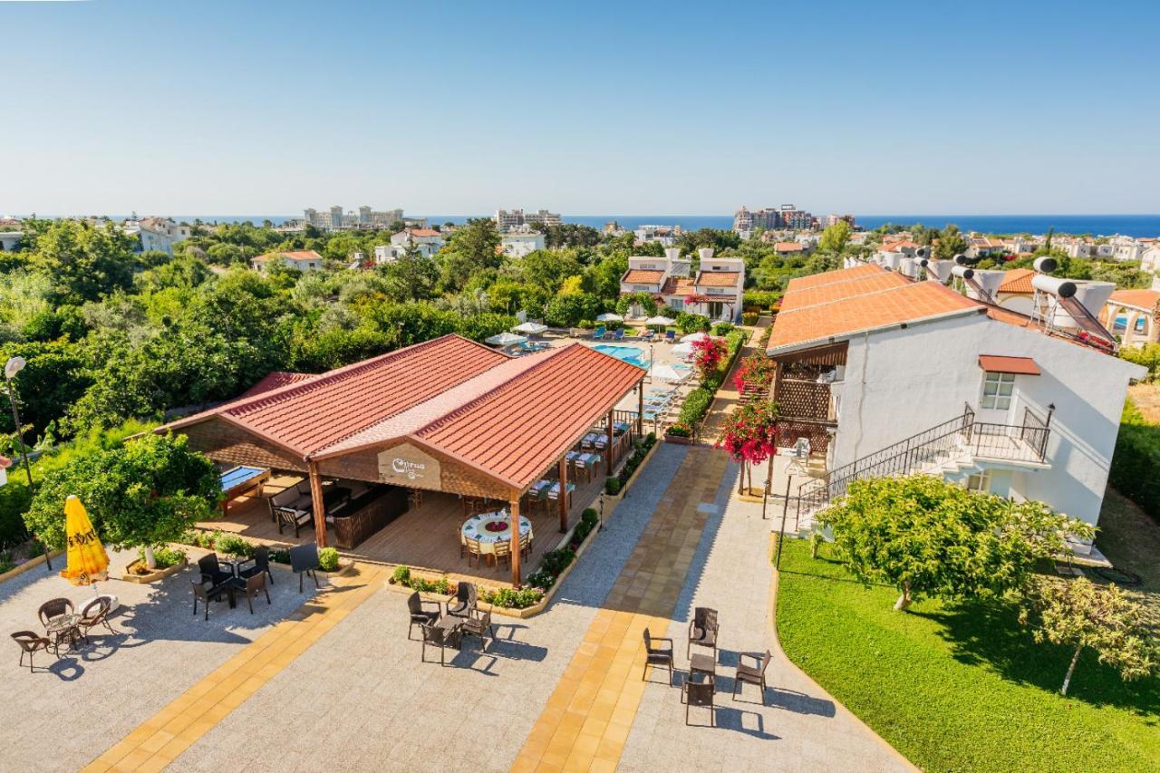 Hotel Citrus Tree Gardens Karavas  Exteriér fotografie